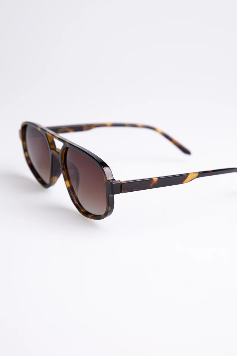 Brown photochromic glasses with polarization