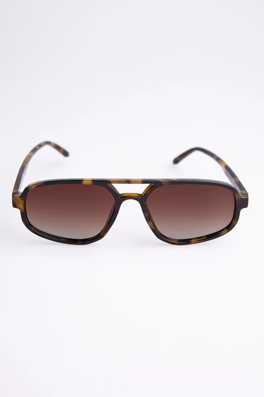 Brown photochromic glasses with polarization